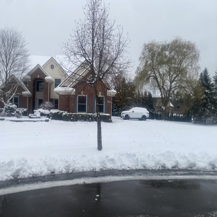 Auto & Property Maintenance in Metro Detroit