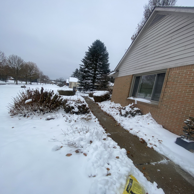 Auto & Property Maintenance in Metro Detroit